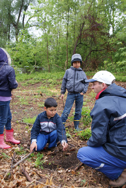 Baumpflanzung_Grenzstrasse_2011-05_DSC06855.jpg