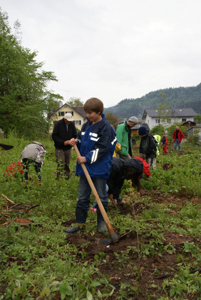 Baumpflanzung_Grenzstrasse_2011-05_DSC06867.jpg