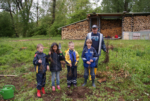 Baumpflanzung_Grenzstrasse_2011-05_DSC06875.jpg