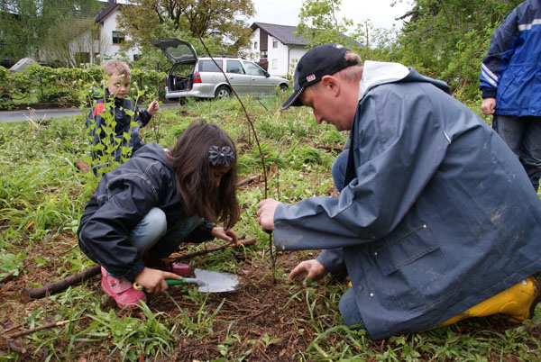 Baumpflanzung_Grenzstrasse_2011-05_DSC06892.jpg