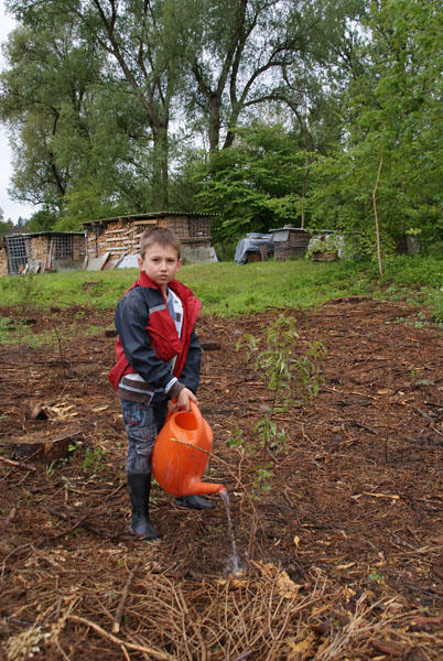 Baumpflanzung_Grenzstrasse_2011-05_DSC06916.jpg