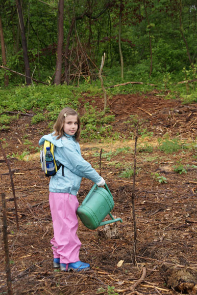 Baumpflanzung_Grenzstrasse_2011-05_DSC06921.jpg