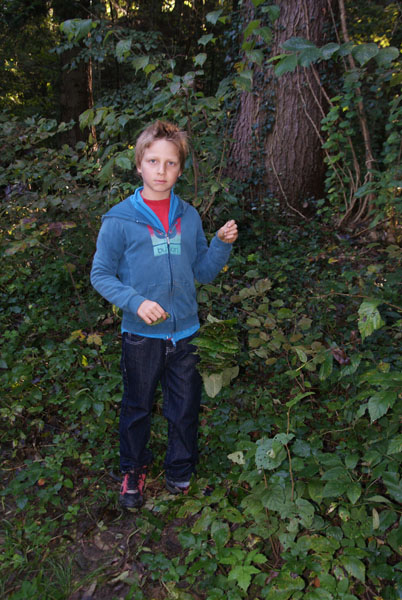 Flussfeste-2011_DSC08128.jpg