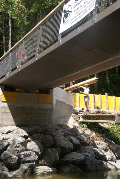 Radwegbruecke-Diezlings_Anlieferung_DSC00310.jpg