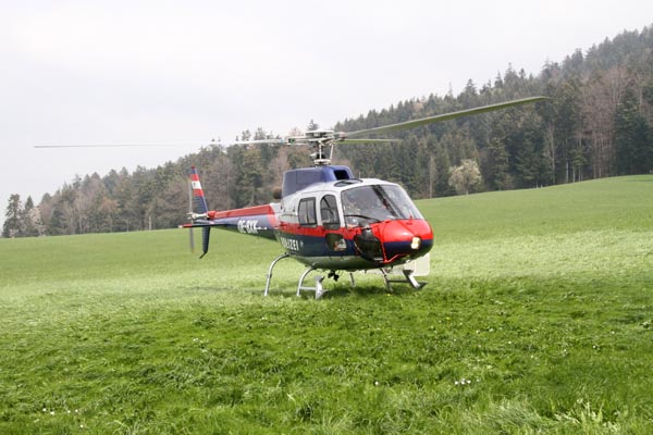 Feuerwehr_Leiblachtal_Waldbranduebung_2019-04-12_008-IMG_2268.jpg