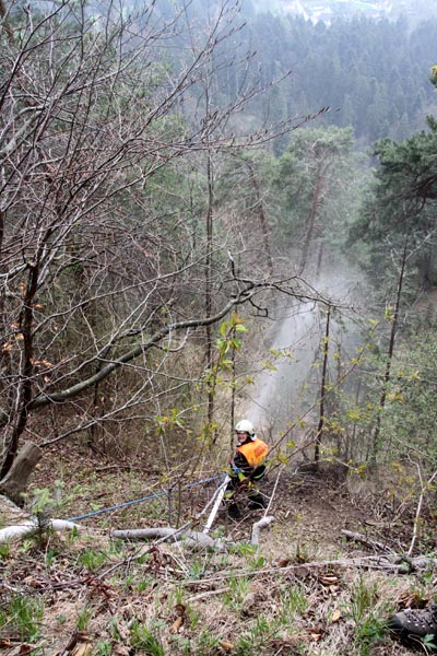 Feuerwehr_Leiblachtal_Waldbranduebung_2019-04-12_100-IMG_2384.jpg