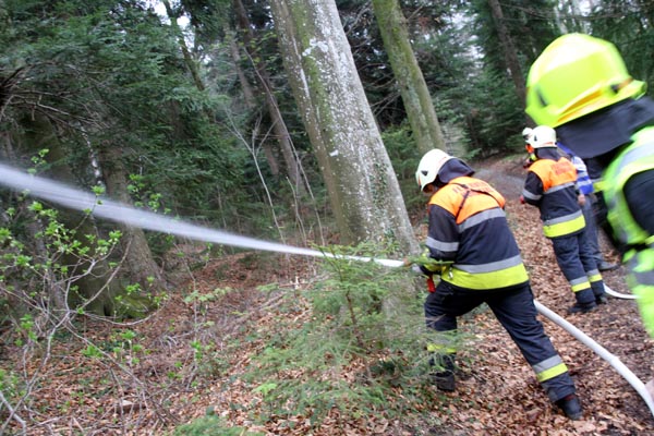 Feuerwehr_Leiblachtal_Waldbranduebung_2019-04-12_121-IMG_2411.jpg