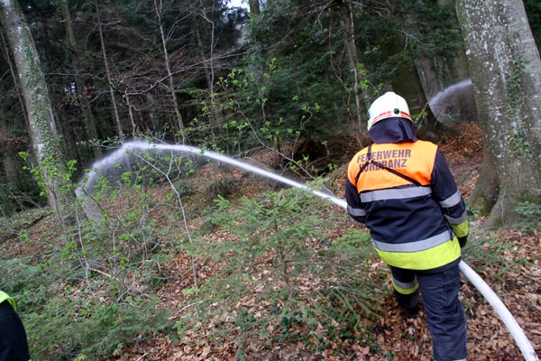 Feuerwehr_Leiblachtal_Waldbranduebung_2019-04-12_122-IMG_2412.jpg