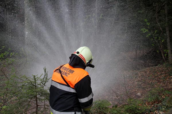 Feuerwehr_Leiblachtal_Waldbranduebung_2019-04-12_124-IMG_2415.jpg