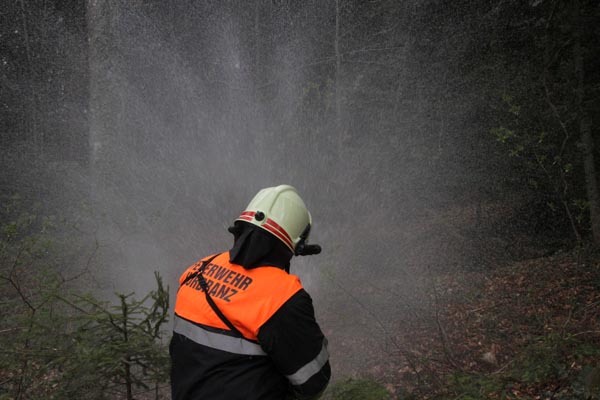 Feuerwehr_Leiblachtal_Waldbranduebung_2019-04-12_125-IMG_2416.jpg