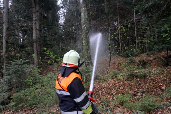 Feuerwehr_Leiblachtal_Waldbranduebung_2019-04-12_128-IMG_2419.jpg