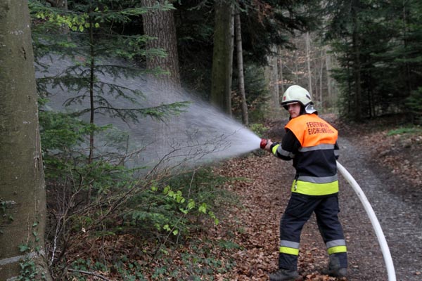 Feuerwehr_Leiblachtal_Waldbranduebung_2019-04-12_129-IMG_2420.jpg