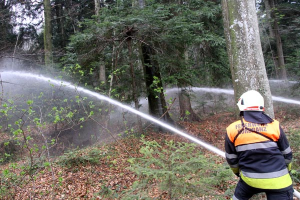 Feuerwehr_Leiblachtal_Waldbranduebung_2019-04-12_133-IMG_2424.jpg