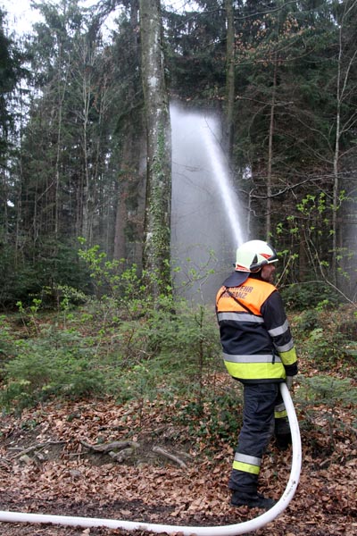 Feuerwehr_Leiblachtal_Waldbranduebung_2019-04-12_135-IMG_2426.jpg