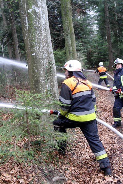 Feuerwehr_Leiblachtal_Waldbranduebung_2019-04-12_138-IMG_2430.jpg