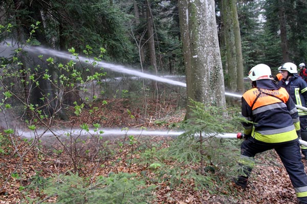 Feuerwehr_Leiblachtal_Waldbranduebung_2019-04-12_140-IMG_2432.jpg