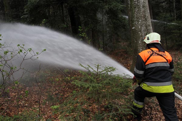 Feuerwehr_Leiblachtal_Waldbranduebung_2019-04-12_141-IMG_2433.jpg