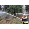 Feuerwehr_Leiblachtal_Waldbranduebung_2019-04-12_133-IMG_2424.jpg